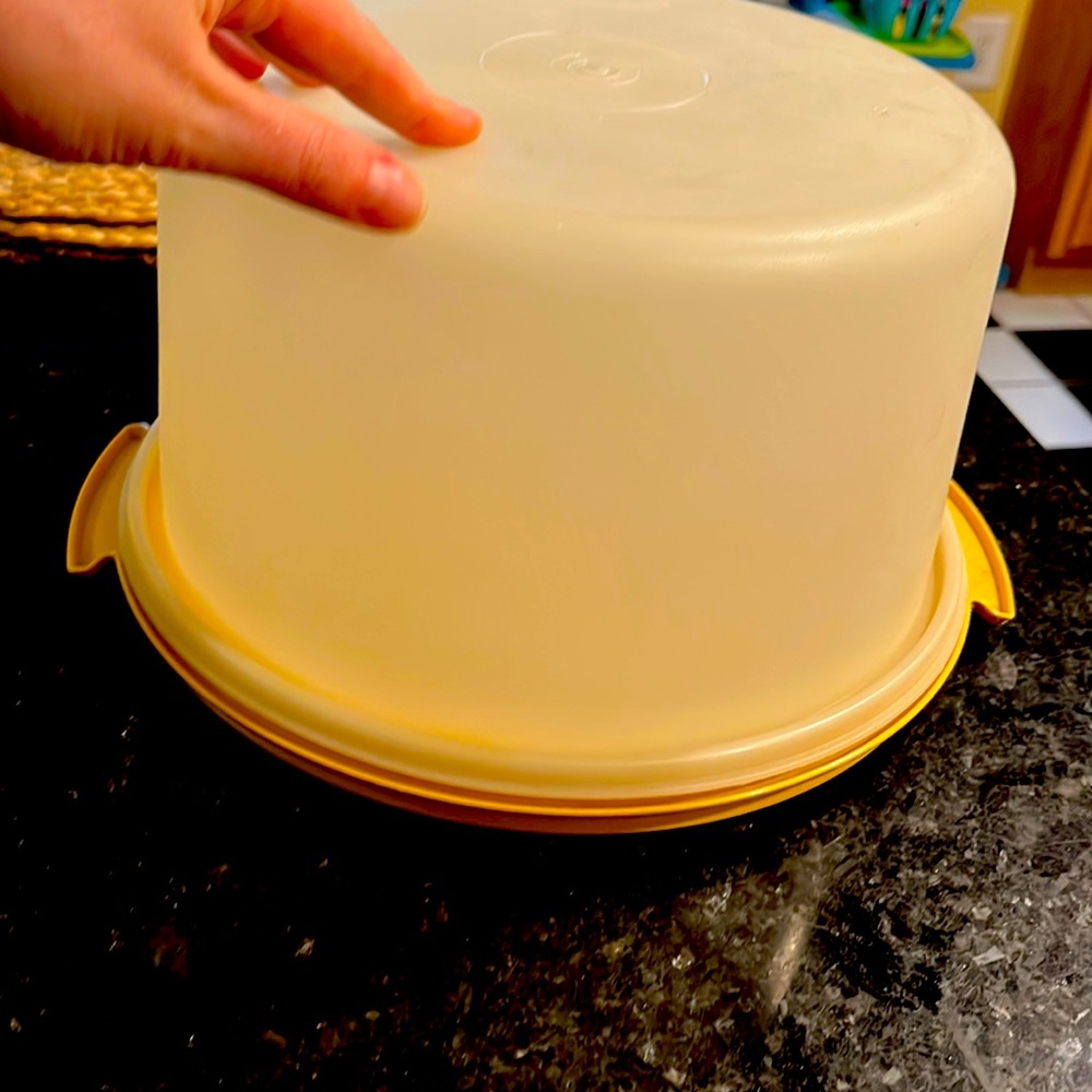Vintage cake carrier